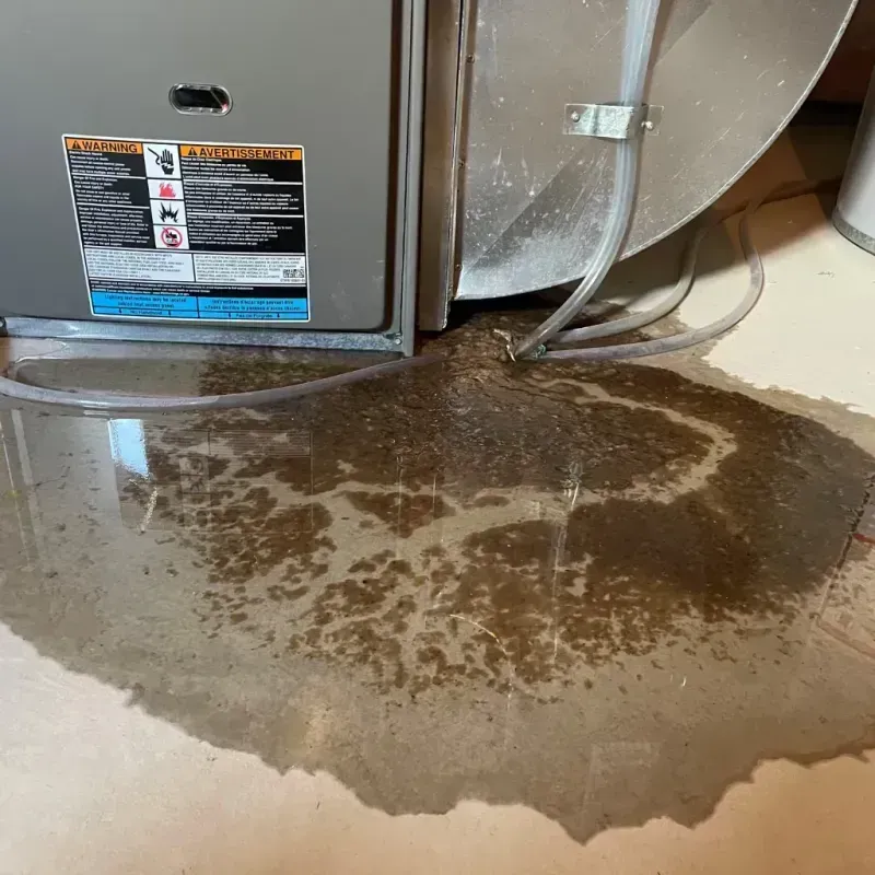 Appliance Leak Cleanup in Ballenger Creek, MD